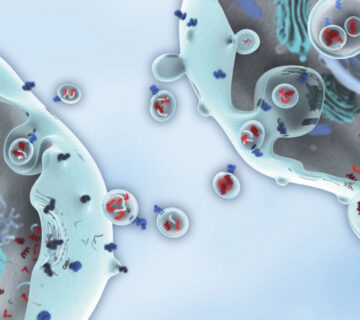 اگزوزوم سلول های بنیادی سلول درمانی